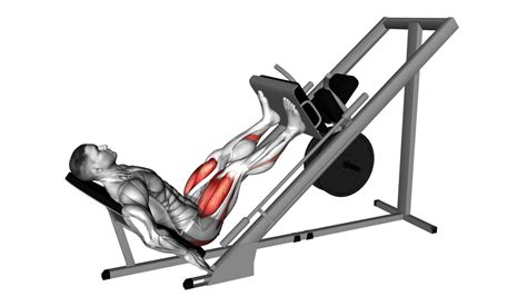 Power Tech Leg Press: Ultimate Guide To Stronger Legs