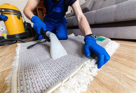 Pro Tech Carpet Cleaning Services For A Deeper Clean