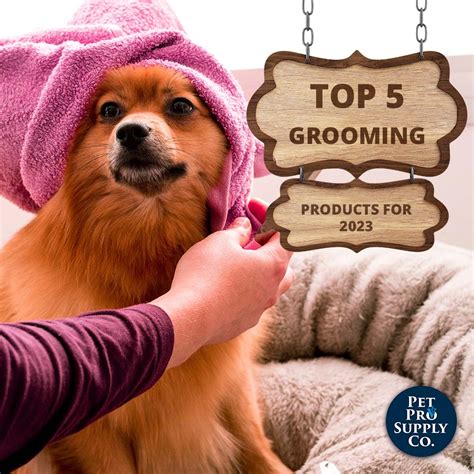 Pro Tech Whiskers: Revolutionizing Pet Grooming With Innovative Tools