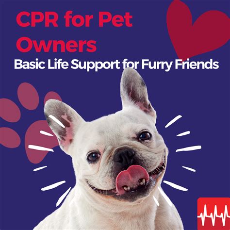 Reviving Pets With Technology: Cpr For Your Furry Friend