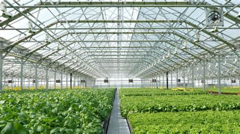 Revolutionizing Farming: Innovative Farm Tech Greenhouses