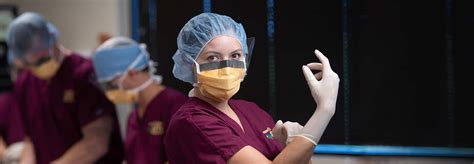 Scrub Tech Schools In Oregon: Find Top Programs