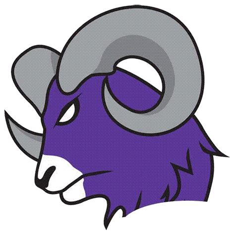 Shawsheen Tech Rams Basketball Team Spotlight