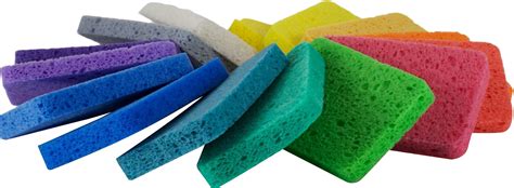 Sponge Technology Innovations And Applications