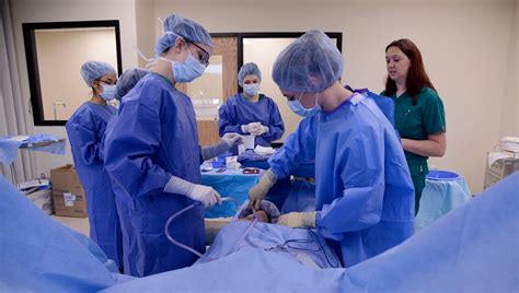 Surgical Tech Schools In Dallas: Top Programs Revealed