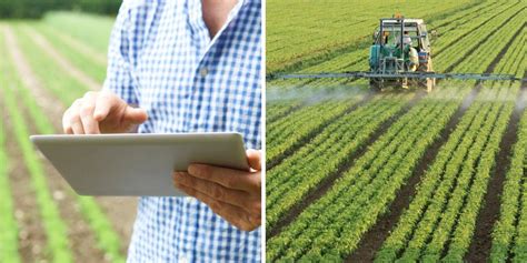 Syngenta Tech Agreement: Revolutionizing Agriculture Through Innovation