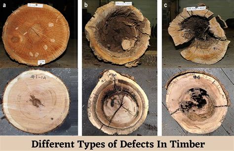 Teak Tech: Sustainable Wood For The Modern Age