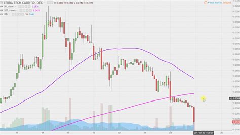 Terra Tech Corp Stock Price Today And Forecast Analysis