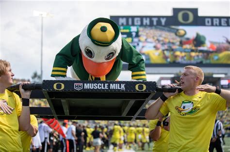 Texas Tech Vs Oregon Baseball: Red Raiders Meet Ducks