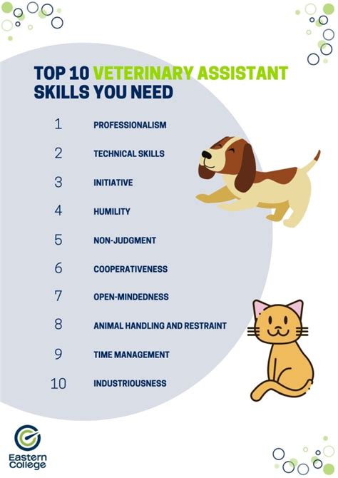 Top 10 Essential Vet Tech Skills To Master