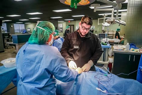 Top 5 Surgical Tech Schools In Ct