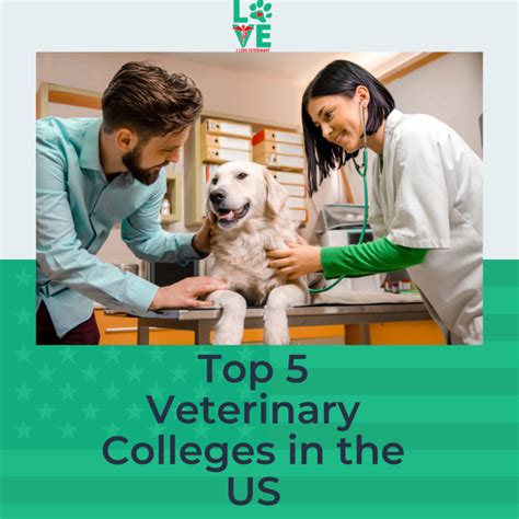 Top 5 Vet Tech Programs In Idaho