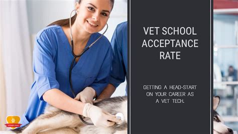 Top 5 Vet Tech Programs In Nebraska