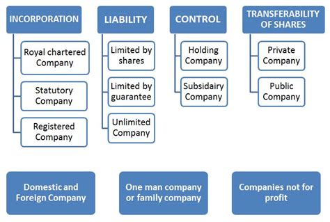 Types Of Tech Companies Explained