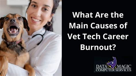 Vet Tech Burnout: Causes, Symptoms, And Solutions