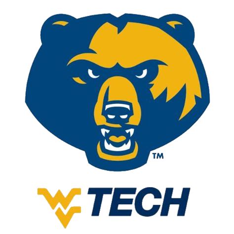 Wvu Tech Golden Bears Football Team Overview